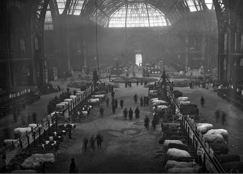 Attraction touristique - Paris