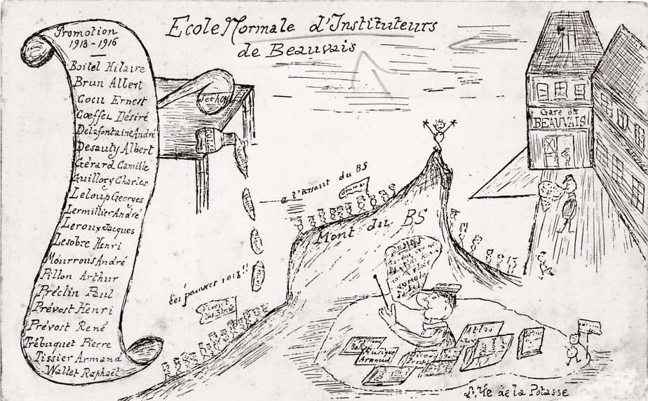 Mammifère - Esquisser